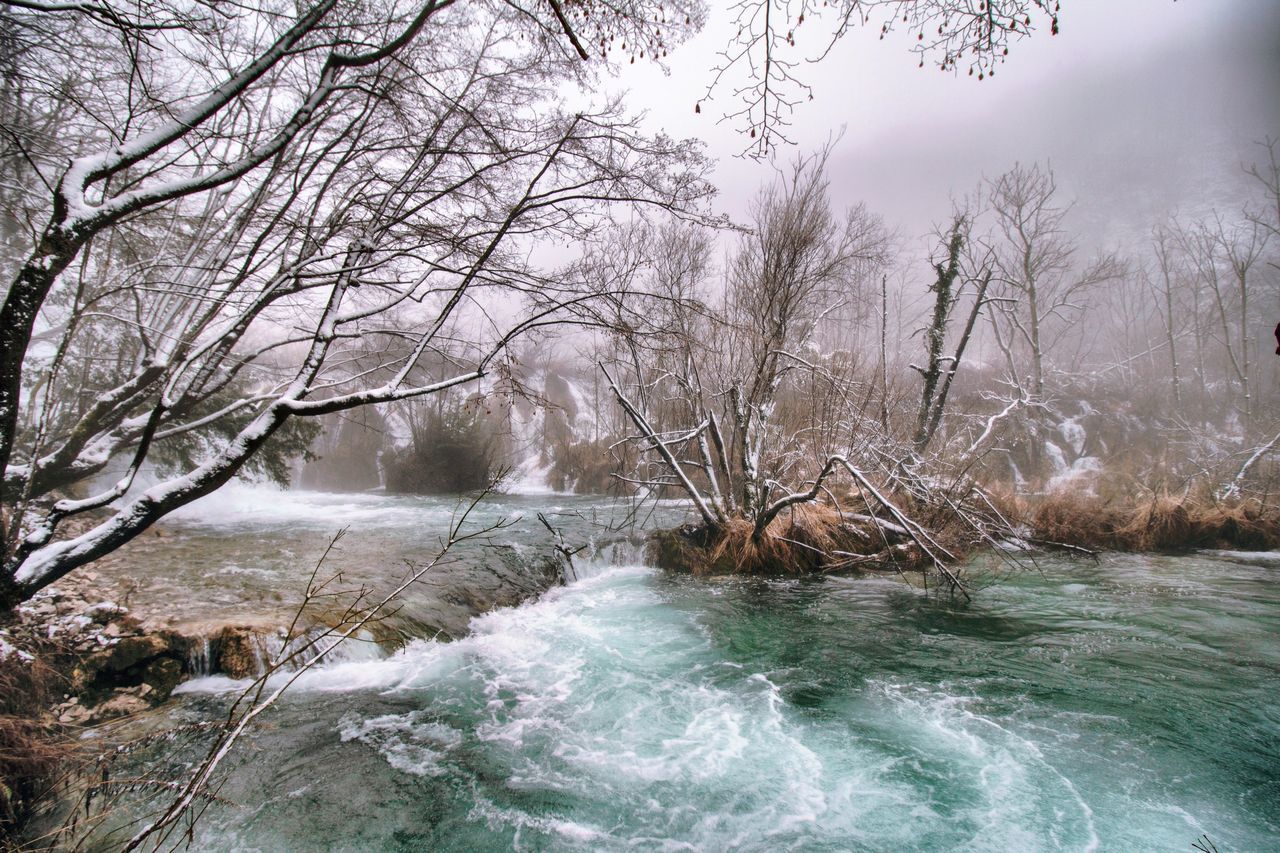 SCENIC VIEW OF RIVER FLOWING AMIDST BARE TREES