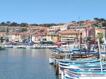 Sailboats moored in harbor against clear blue sky