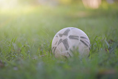 Close-up of ball on grass