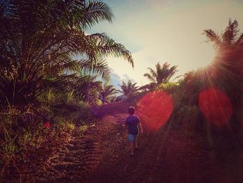 Rear view of child walking on dirty a road against sky during sunset.