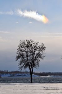 Tree on snow covered field against sky during sunset