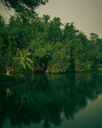 Scenic view of lake in forest against sky