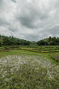Scenic view of field against sky