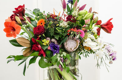 Close-up of flowers in vase