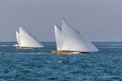 Sailboat sailing on sea against clear sky