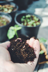 Cropped hand holding dirt against potted plants