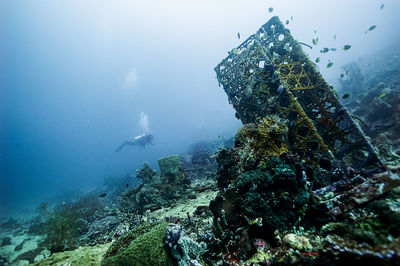 underwater