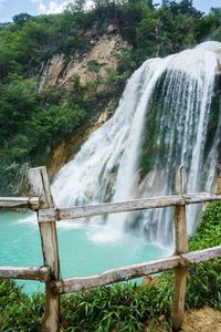 Scenic view of waterfall in forest