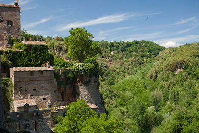 Panoramic view of trees on landscape and historical buildings in sorano against sky