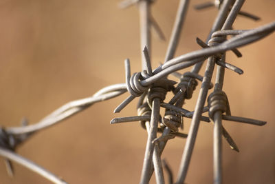 Close-up of barbed wire