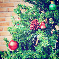 Close-up of christmas decoration hanging on tree