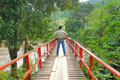 Rear view of man on footbridge in forest