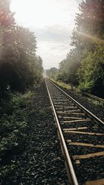 View of railway tracks along trees