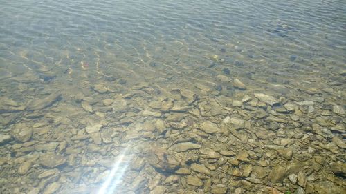 High angle view of wet shore at beach