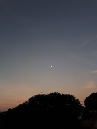 Low angle view of silhouette trees against sky at sunset