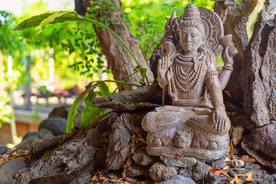 Statue of buddha against trees