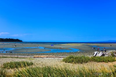 Scenic view of sea against blue sky