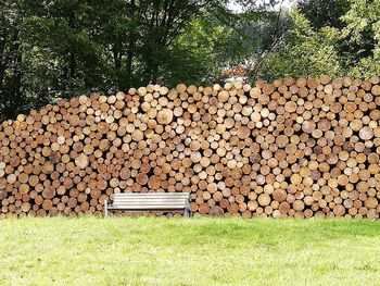 Stack of logs on field