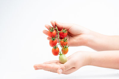 Close-up of hand holding fruit against white background