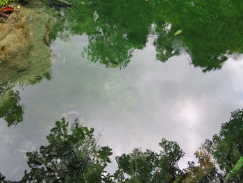 High angle view of trees by lake against sky