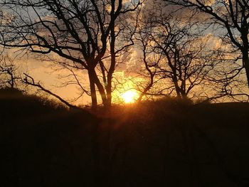 Silhouette bare trees against sky during sunset