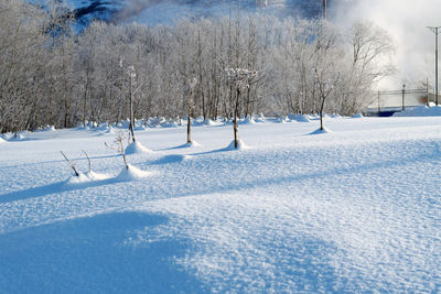 Snow covered landscape against blue sky