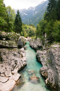 Scenic view of river flowing through rocks in forest