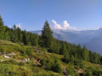 Scenic view of trees and mountains against sky