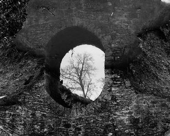 Close-up of circular object on wall