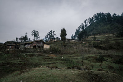 Scenic view of trees and houses against sky