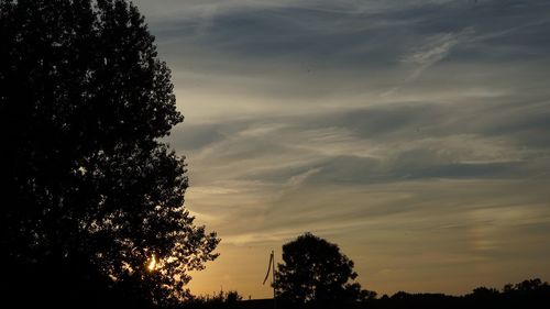 Silhouette trees against sky during sunset