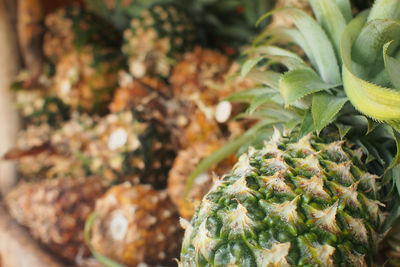 Close-up of vegetables