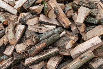 Oak firewood close-up. stacked dry firewood as a background.