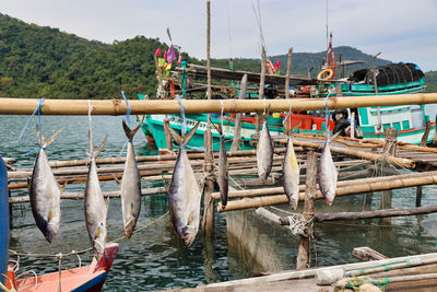 Boats moored at harbor