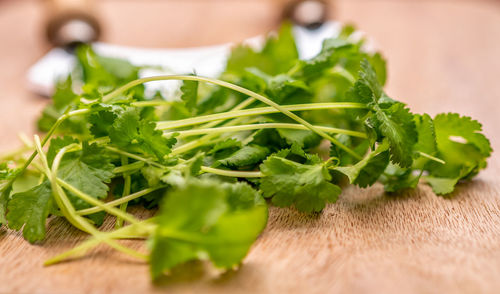 Close-up of chopped vegetables on cutting board