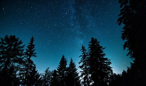 Low angle view of trees shadow against starry sky at night in crans-montana, switzerland 