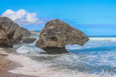 sea