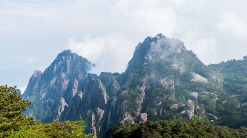 Panoramic view of trees and mountains against sky