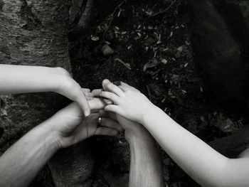 Close-up of hand touching tree