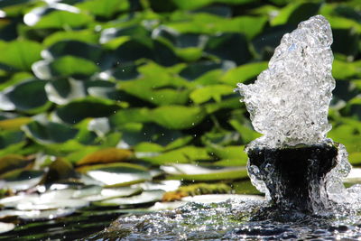 Close-up of water splashing fountain