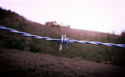 Close-up of barbed wire