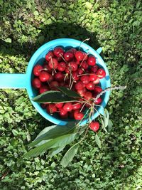 High angle view of strawberries in bowl