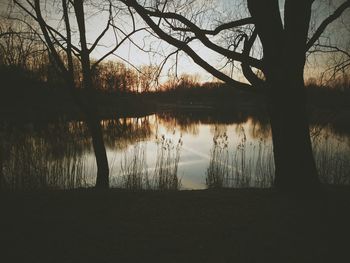 Reflection of bare trees in lake