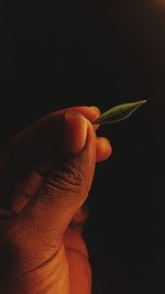 hand