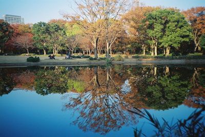 Reflection of trees in calm lake in park
