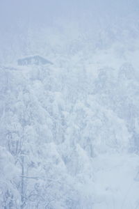 Full frame shot of snow covered landscape