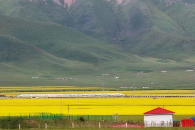 Train passing through landscape