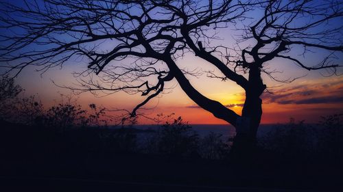 Silhouette bare tree by lake against sky during sunset