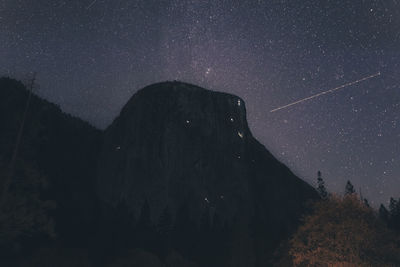 Scenic view of tree against sky at night