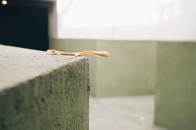 Close-up of clothespin on wall